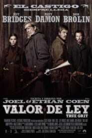 Valor de ley (2010)